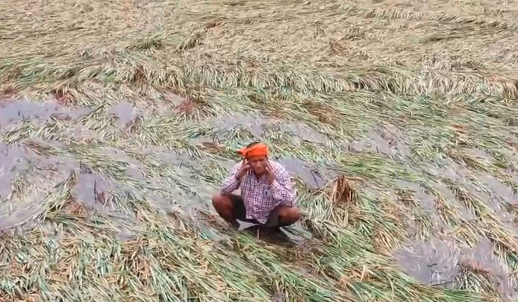 Farmer