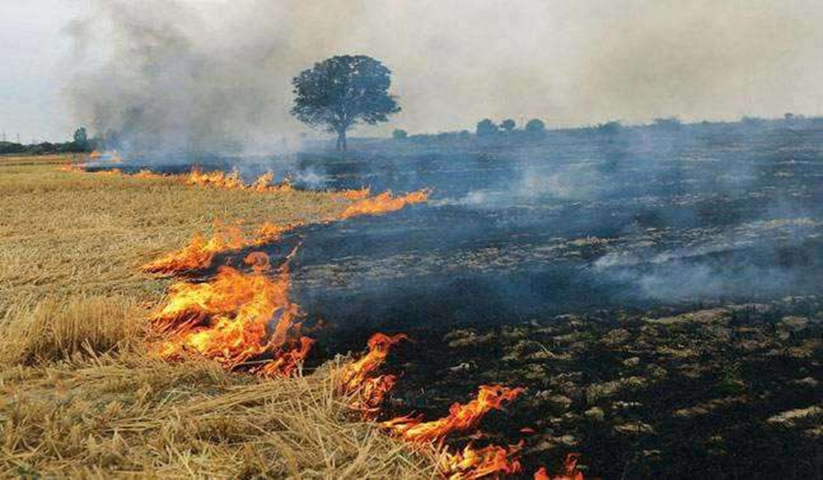 पराली प्रबंधन में मोगा में बदलाव की मिसाल, मान सरकार के नेतृत्व में एस.एस.पी और डीसी खेतों में सक्रिय