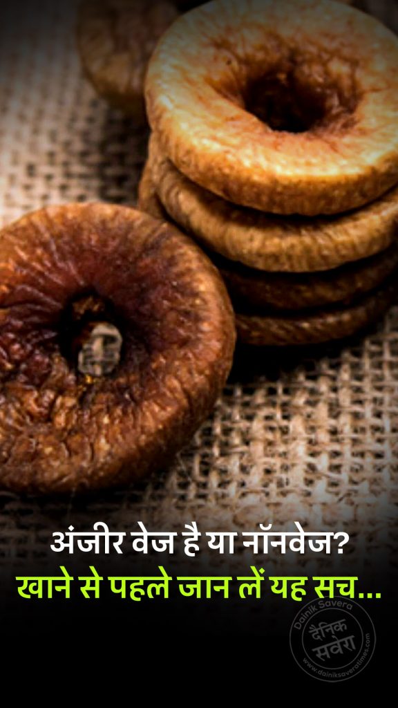 सर्दियों में लिया जाने वाला अंजीर स्वादिष्ट और पोषक तत्वों से भरपूर होता है। सोशल मीडिया पर अंजीर वेज या नॉनवेज होने को लेकर भ्रम फैल गया है।