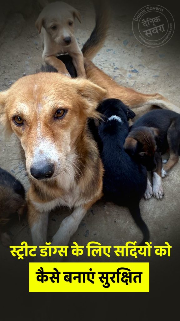 Street Dog