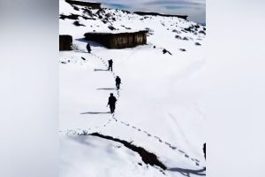 Jammu Kashmir: नए साल से पहले पुलिस और सेना अलर्ट, भलैसा में सर्च ऑपरेशन किया शुरू