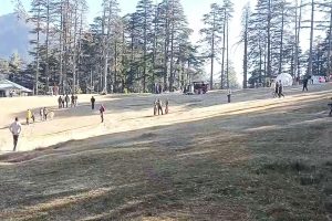 जम्मू-कश्मीर: पटनीटॉप में क्रिसमस और नए साल के जश्न मनाने के लिए उमड़े पर्यटक