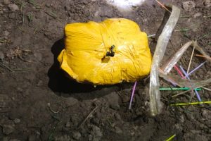 Punjab News: बीएसएफ की बड़ी कार्रवाई, ड्रोन से भेजी 12 KG संदिग्ध हेरोइन बरामद
