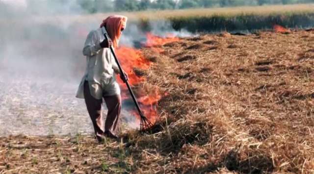पंजाब-हरियाणा में पराली जलाने की अधिकतर घटनाएं उपग्रह तस्वीरों में दर्ज नहीं होती : रिपोर्ट