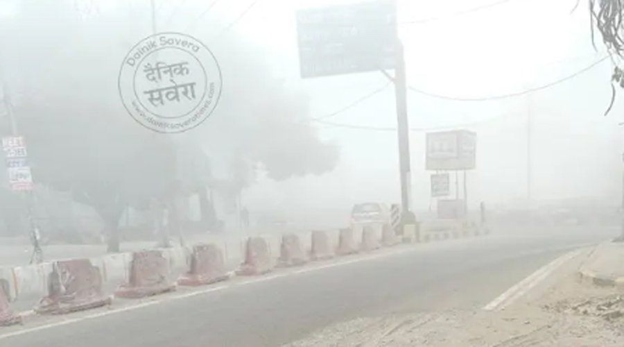 Punjab Weather: घने कोहरे और शीतलहर का कहर, कई इलाकों में विज़िबिलिटी हुई जीरो, जानें मौसम का हाल