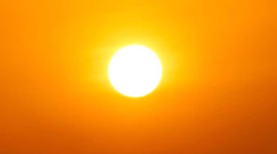 नए साल में सूर्य की ऊर्जा से रोशन होगा भाग्य, घर में रखें ये शुभ वस्तुएं
