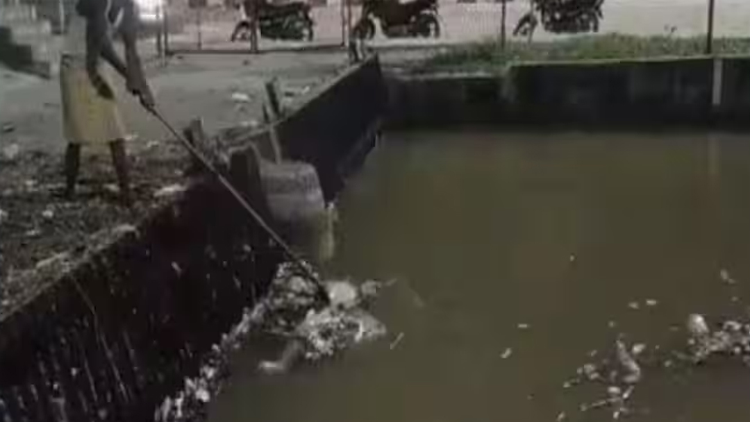 Ludhiana News: नहर में मिली मेडिकल स्टूडेंट की लाश, चार दिन से था लापता