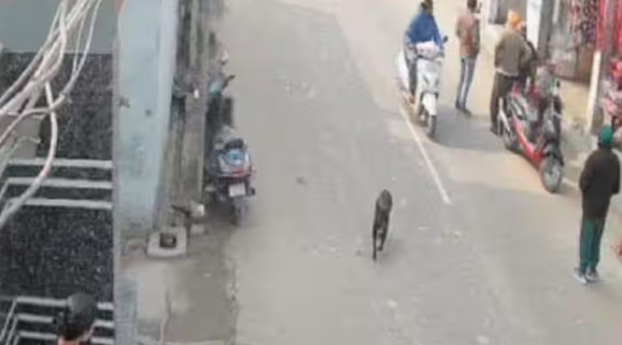 पंजाब में लगातार बढ़ रही गुंडागर्दी, अब इस इलाके में हुई अंधाधुंध फायरिंग, मची अफरा-तफरी