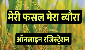 अमूपुर की गैर-कृषि जमीन पर फर्जी खेती