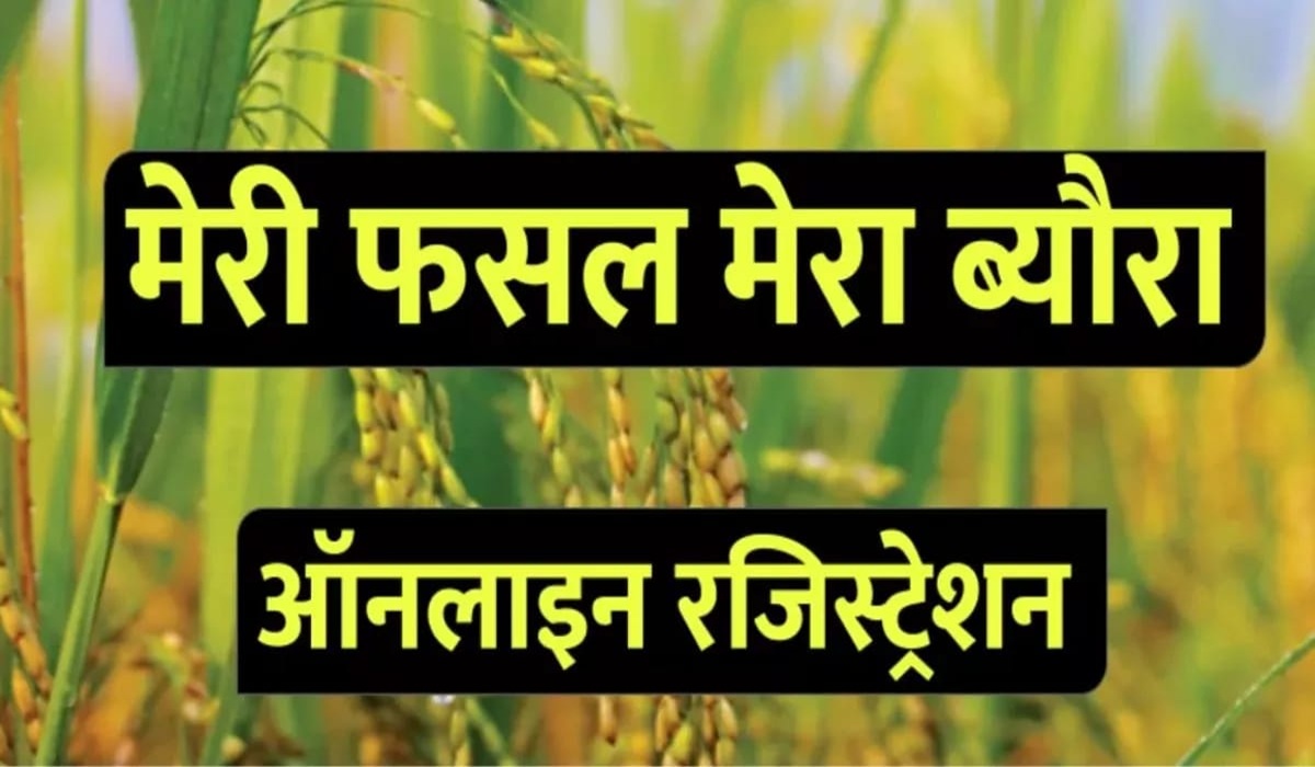 अमूपुर की गैर-कृषि जमीन पर फर्जी खेती