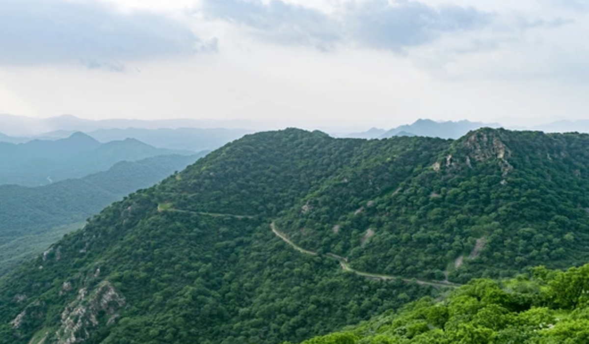 Aravalli Hills को बचाने के लिए आज सुप्रीम सुनवाई, इन गंभीर मुद्दों पर विचार किए जाने की उम्मीद