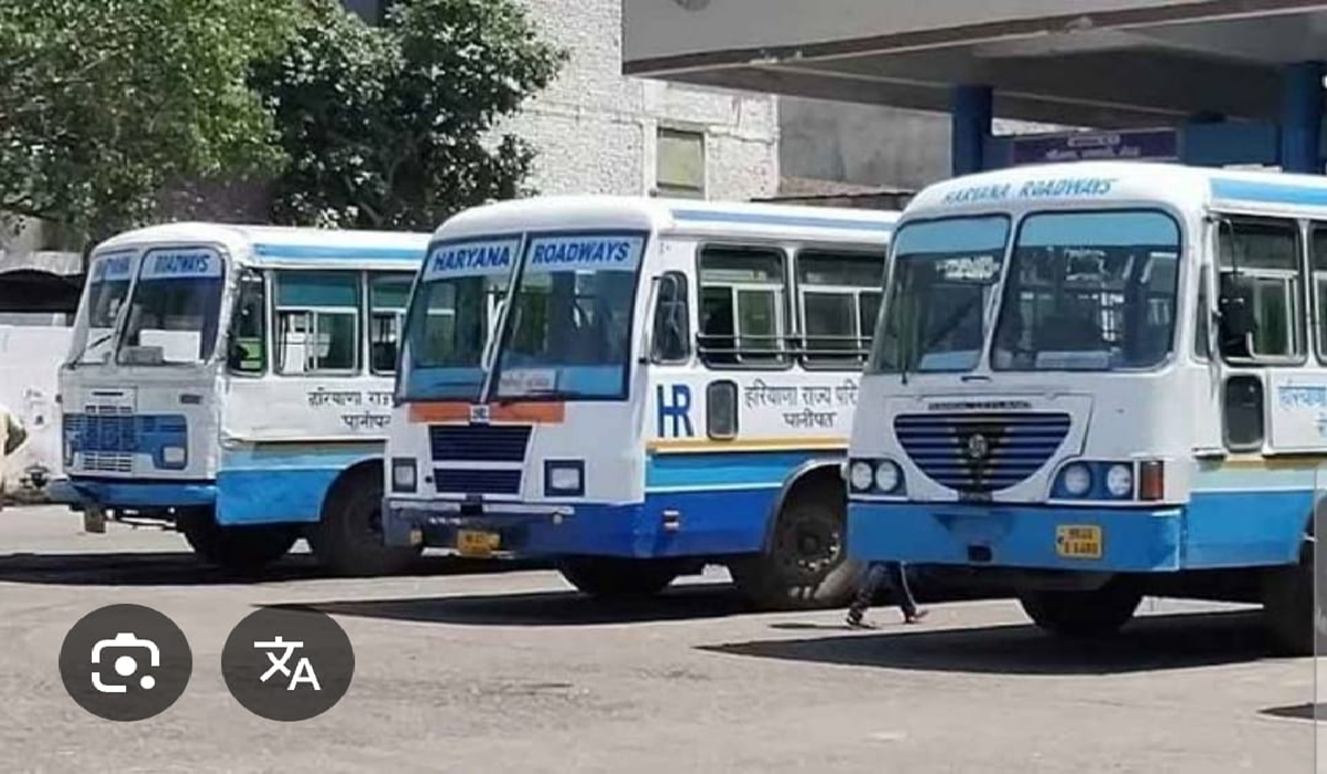 यात्री परेशान, रोडवेज को घाटा: महेंद्रगढ़ में बस रूटों की होगी दोबारा मैपिंग