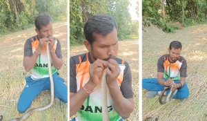 Ajab-Gajab: जान जोखिम पर लगाकर युवक ने जहरीले सांप को दी CPR, वीडियो देख खड़े हो जाएंगे रोंगटे