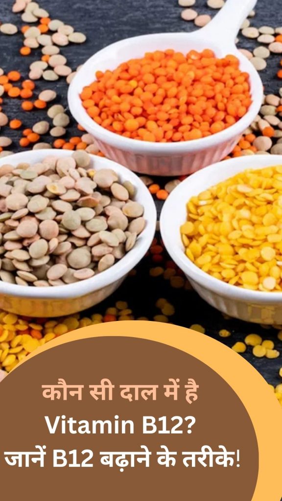 Which type of lentil provides the most vitamin B12?