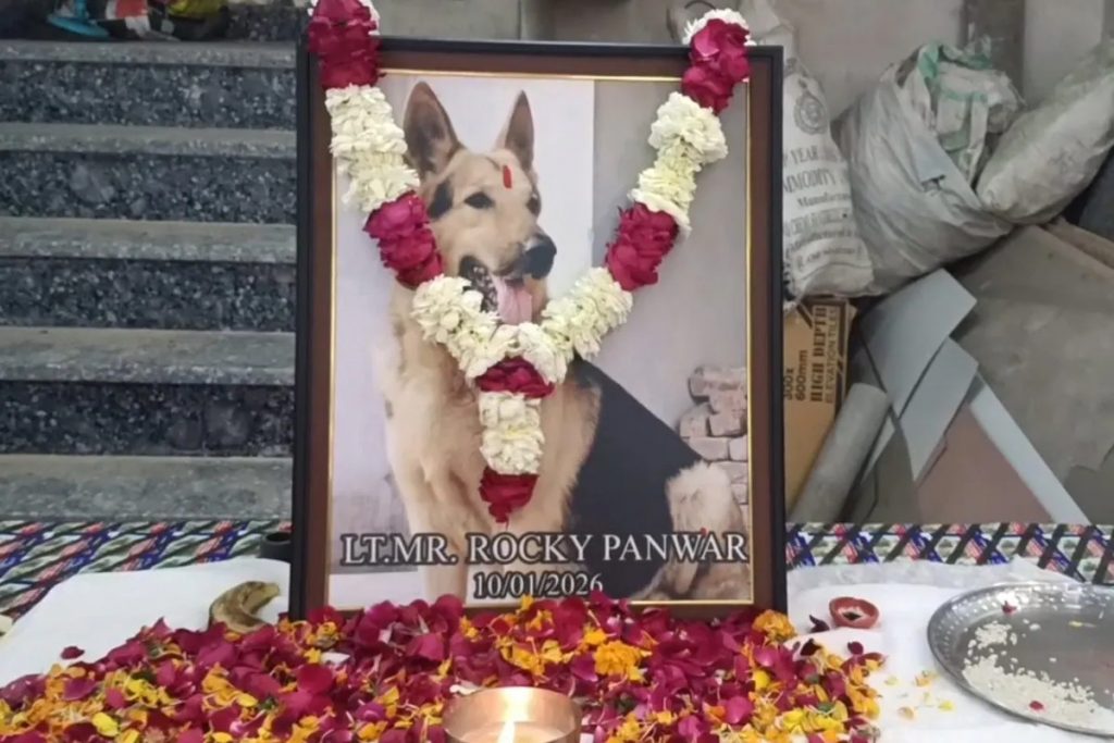 Dogs last farewell