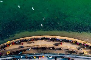 मातृ नदी का दस वर्षों में पुनर्जन्म: पारिस्थितिक संकट से मछलियों के उछलने और लोगों के आनंद तक