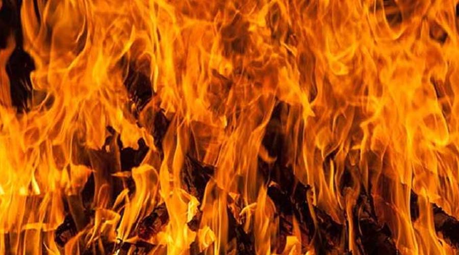 Haryana News: पानीपत में वेस्ट गोदाम में लगी भीषण आग; करीब 100 मकानों में आई दरार