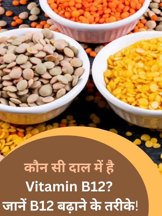 कौन सी दाल के सेवन से मिलता है अधिक बी-12?