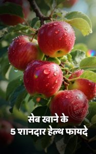 हिमाचल का ‘लाल सोना’ संकट में, उत्पादन गिरने से बढ़ी चिंता