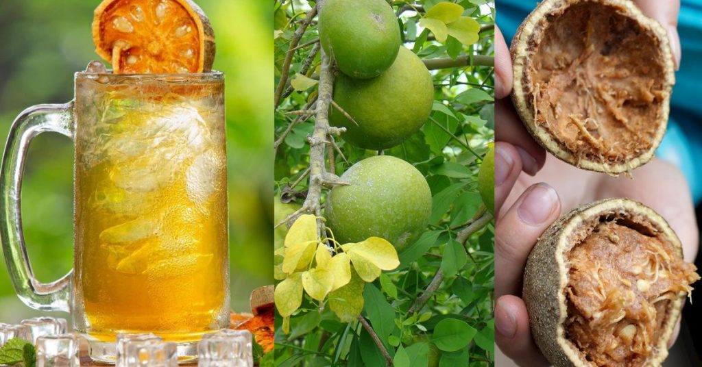 Bael fruit benefits