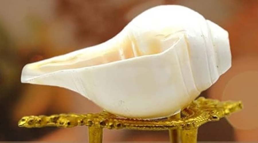 Shankh Vastu Tips: घर में शंख रखने से बढ़ती है सकारात्मक ऊर्जा और मानसिक शांति, जानिए वास्तु शास्त्र में महत्व