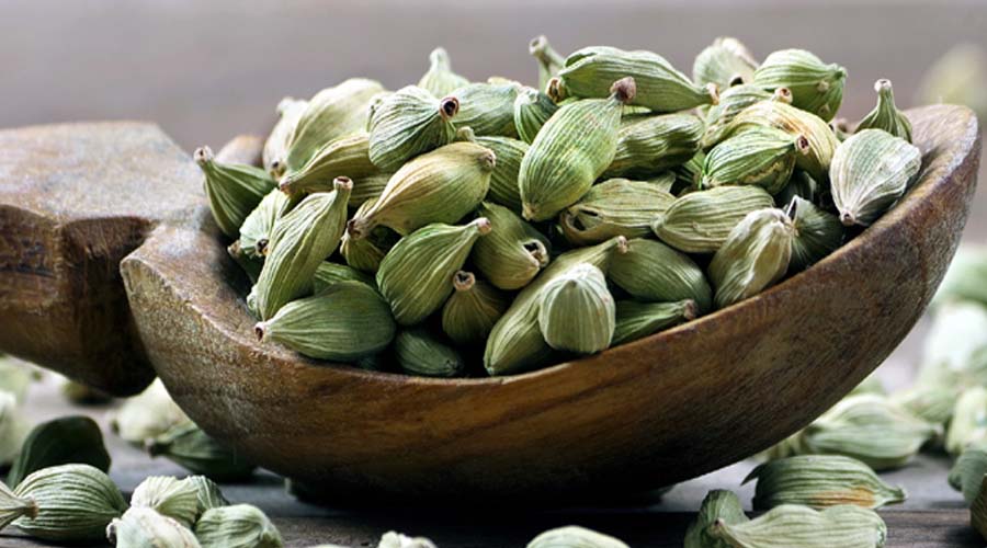 खाने के बाद इलायची चबाने के फायदे: पेट और सेहत पर क्या असर डालती है यह छोटी-सी आदत?
