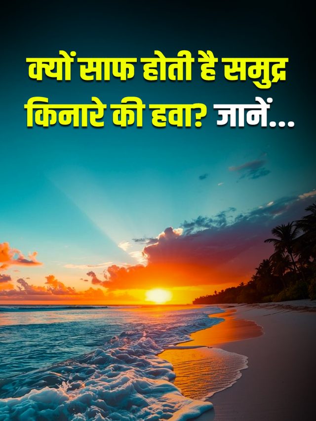 क्यों साफ होती है समुद्र किनारे की हवा? जानें…