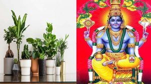 Vastu Tips: घर में ये 5 चीजें रखने से आएगी सकारात्मकता, सुधरेगा भाग्य और बढ़ेगा धन लाभ