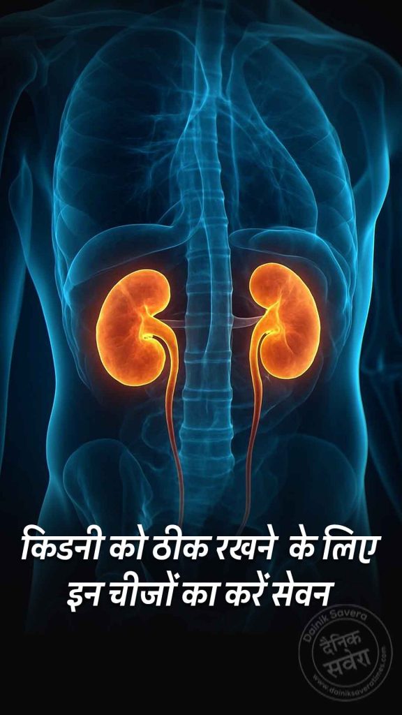 kidney