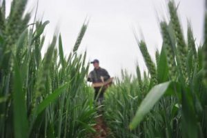 US Venezuela Fertilizer Deal Impact