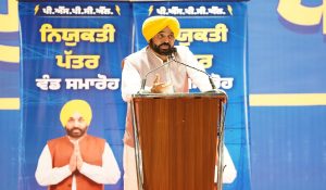 पंजाब के युवाओं को अपने घरों में ही नौकरियां मिल रही, अब उन्हें विदेश जाने की जरूरत नहीं: CM भगवंत सिंह मान