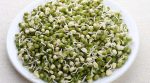 Eating sprouted moong for breakfast