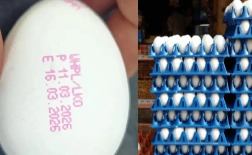 Egg Rule
