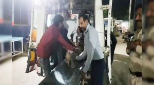 मध्य प्रदेश: सीहोर में शादी समारोह में खाना खाते ही लगी उल्टियां, 200 लोग हुए बीमार