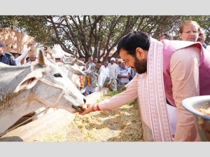 हरियाणा के CM सैनी ने राज्य की 602 रजिस्टर्ड गौशालाओं के लिए 68.34 करोड़ रुपये की ग्रांट जारी की