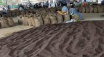 Mustard procurement begins in Haryana 