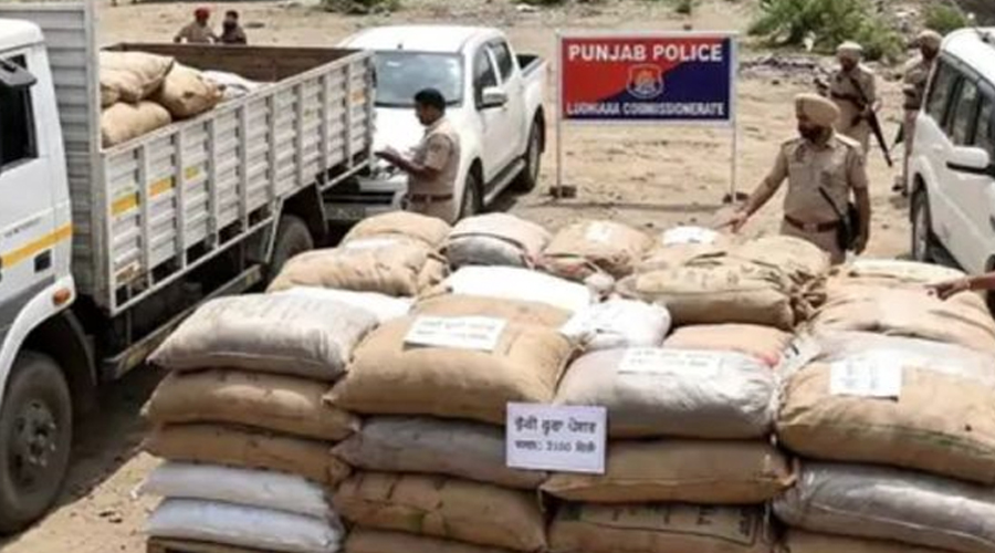 लुधियाना पुलिस ने नशा तस्करों के खिलाफ की बड़ी कार्रवाई, 3,100 किलो चूरा पोस्त बरामद