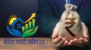 छोटे ऋण देने वाले माइक्रोफाइनांस संस्थानों के लिए क्रैडिट गारंटी योजना 2.0 की घोषणा