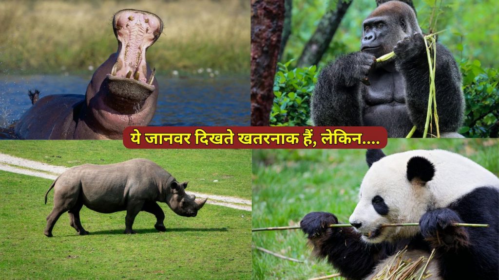 dangerous looking herbivorous animals surprising facts