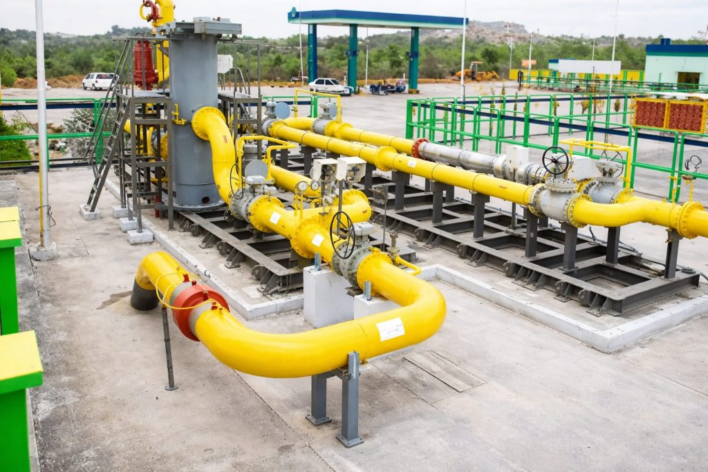 PNG connections March India petroleum ministry update 3.1 lakh