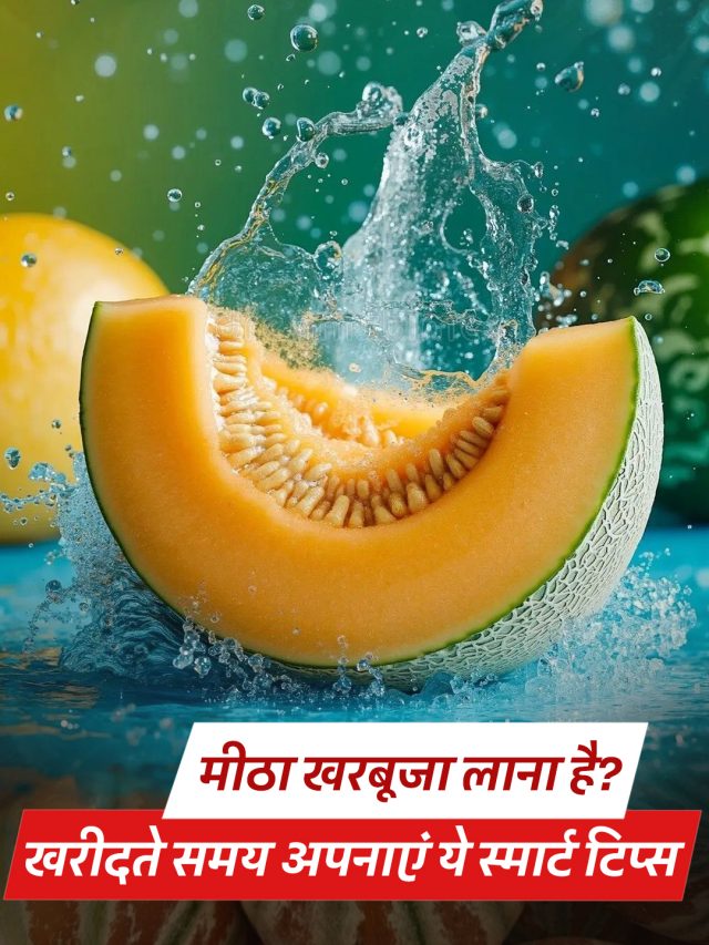 मीठा खरबूजा लाना है? खरीदते समय अपनाएं ये स्मार्ट टिप्स