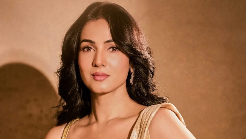 sonal chauhan stranded in dubai