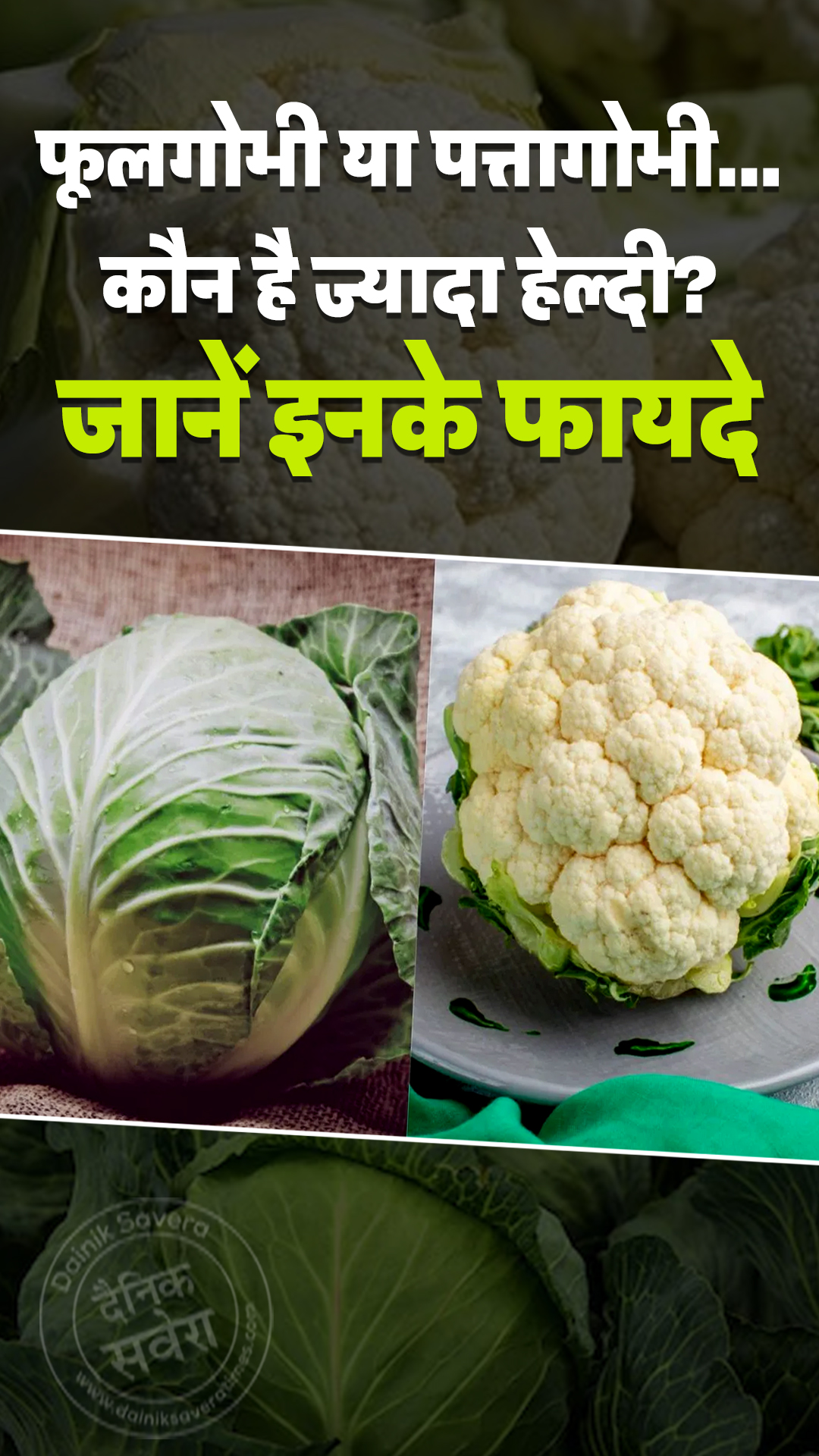 फूलगोभी या पत्तागोभी…कौन है ज्यादा हेल्दी? जानें इनके फायदे