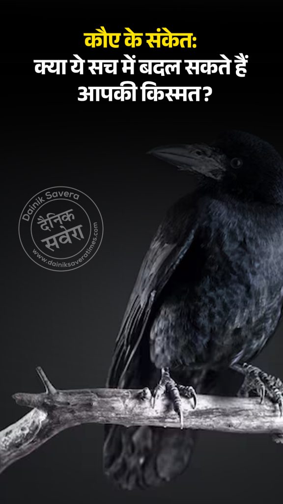 Crow Omens