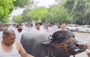 विवादित बयान पर किसान-जाटों का प्रदर्शन