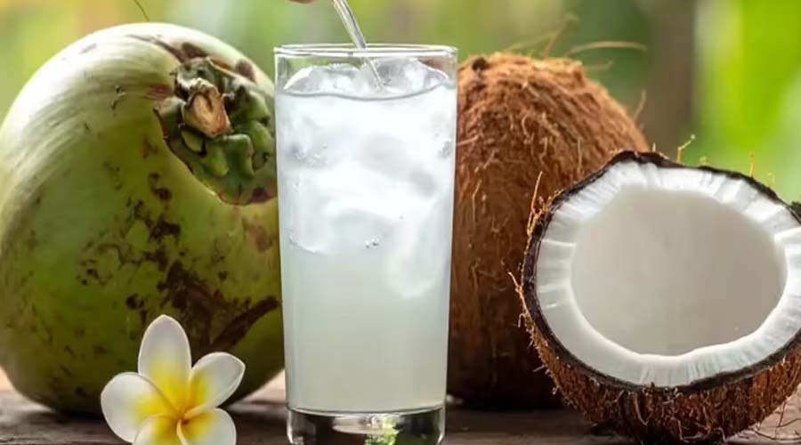 वेट लॉस में कितना फायदेमंद है नारियल पानी? जानिए एक्सपर्ट्स की राय