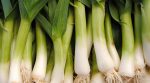 Garlic leaves Benefits