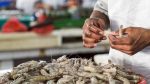 India Seafood Export
