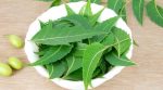 Neem Leaves Benefits
