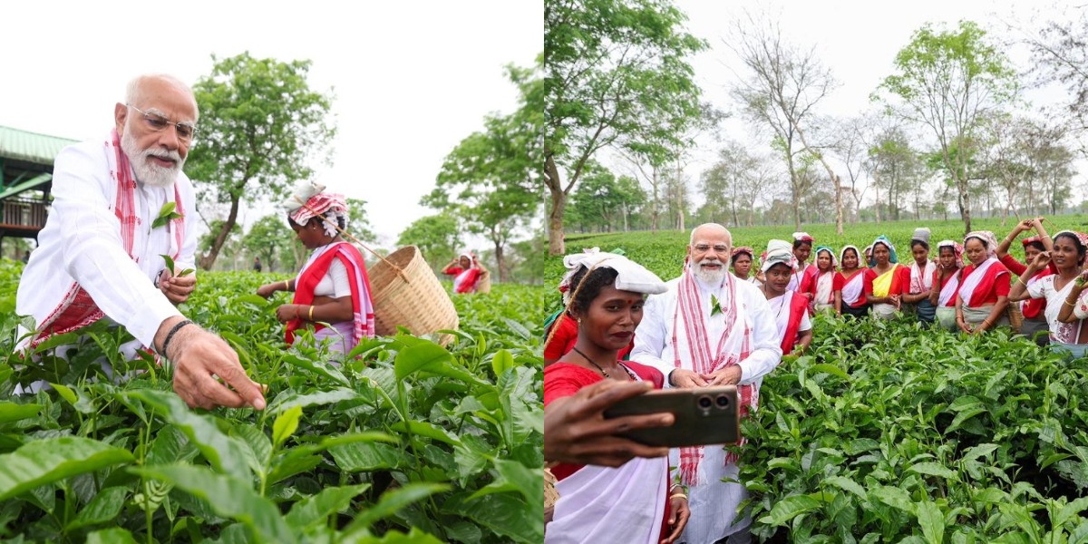 विधानसभा चुनाव से पहले PM मोदी ने किया असम चाय बागान का दौरा, कर्मियों के साथ तोड़ी पत्तियां और ली सेल्फी